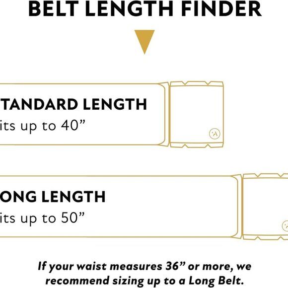 The Original Unisex Adventure Belt, Heavy Duty Elastic Webbing, Non-Metal Travel - Picture 9 of 9